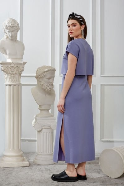 Zebra Desenli Elbise